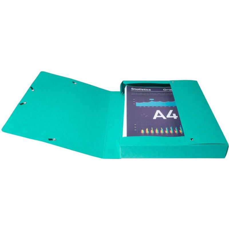 Boite de classement Exabox Dos 40mm Carte lustrée Scotten - A4