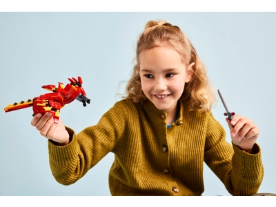 LEGO Felix: de feniks van Perkamentus (76448)