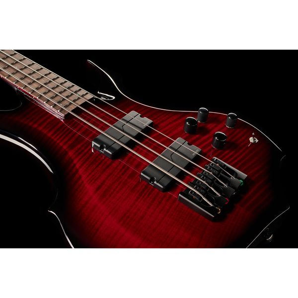 ESP LTD F-1004