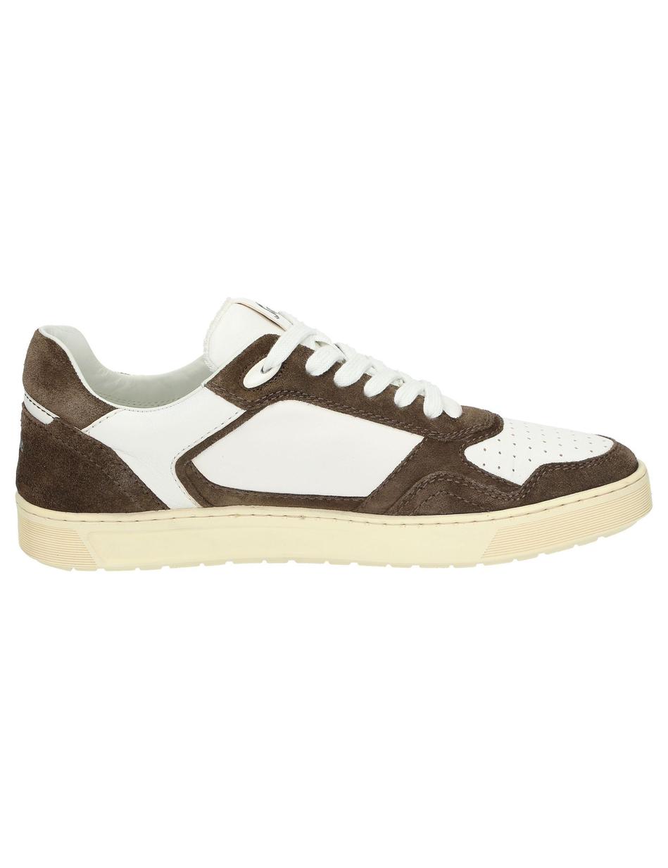 Sneaker Tedroso-704