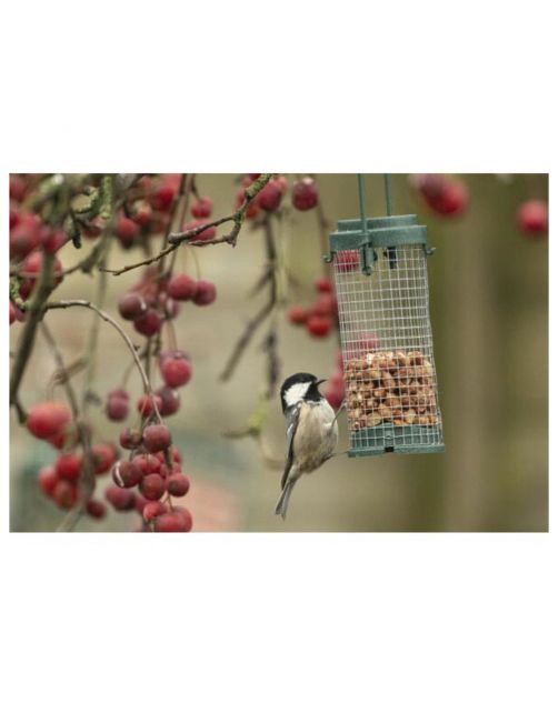Emma's Garden Cadeau- Of Starterspakket - Vogelvoer - per stuk