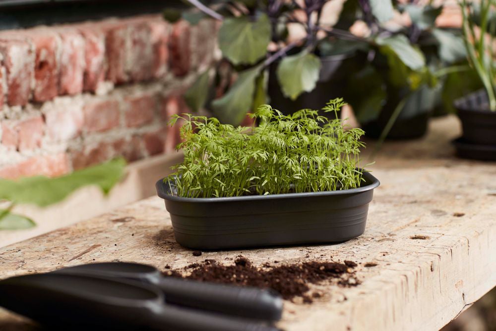 Elho Green Basics kweektray S living black