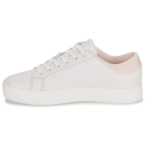Calvin Klein Jeans - CLASSIC CUPSOLE LOWLACEUP LTH - Blanc / Rose