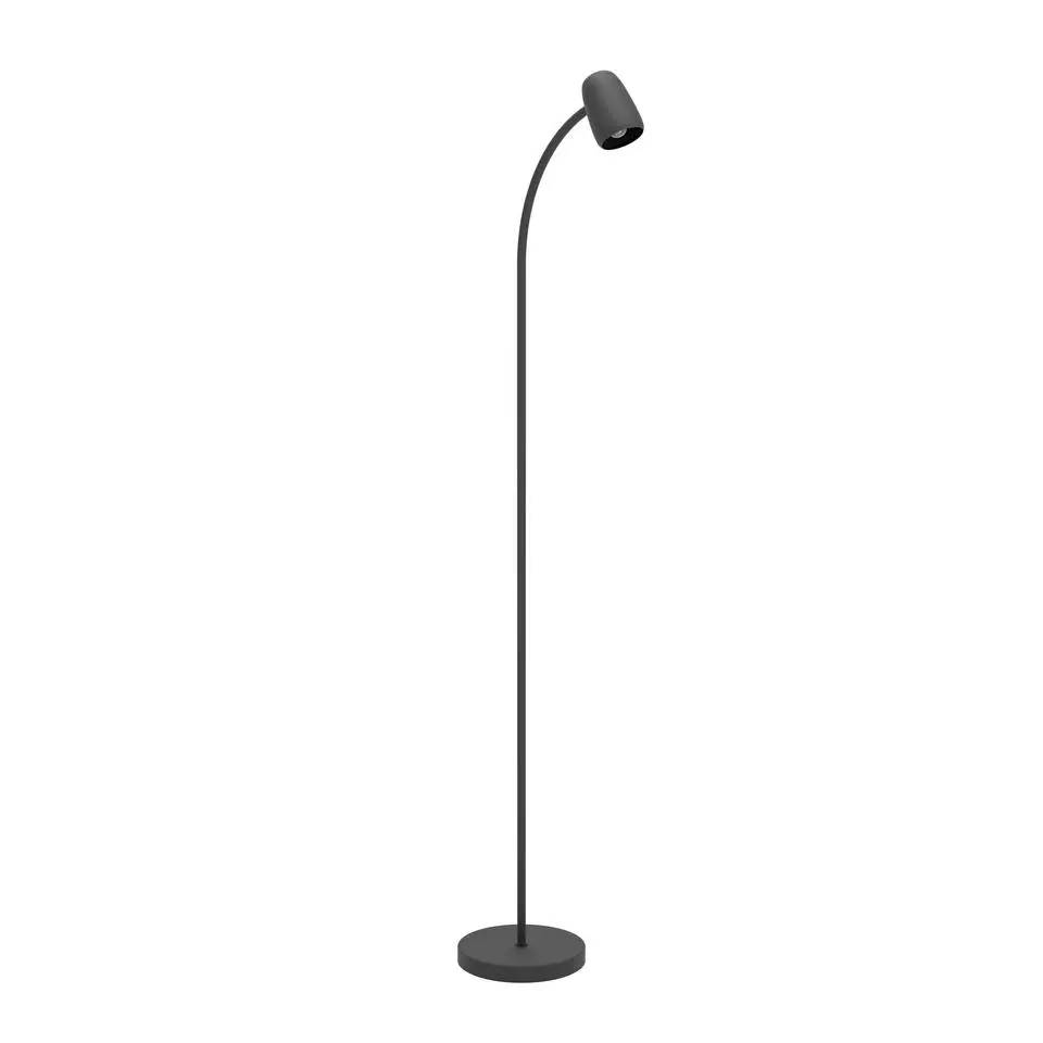 EGLO Carlo Vloerlamp - E14 - 170 cm - Zwart - Kantelbaar