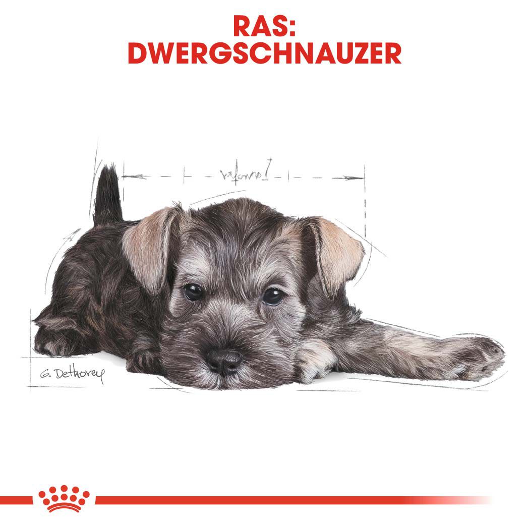 Royal Canin Mini Schnauzer Junior - Hondenvoer - 1.5 Kilogram - gevogelte