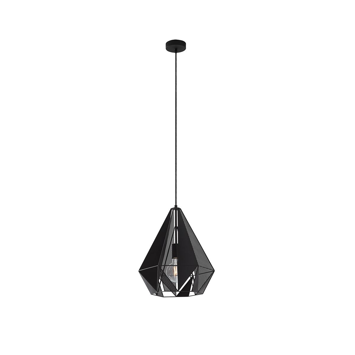 Industriële hanglamp zwart met mesh - Carcass