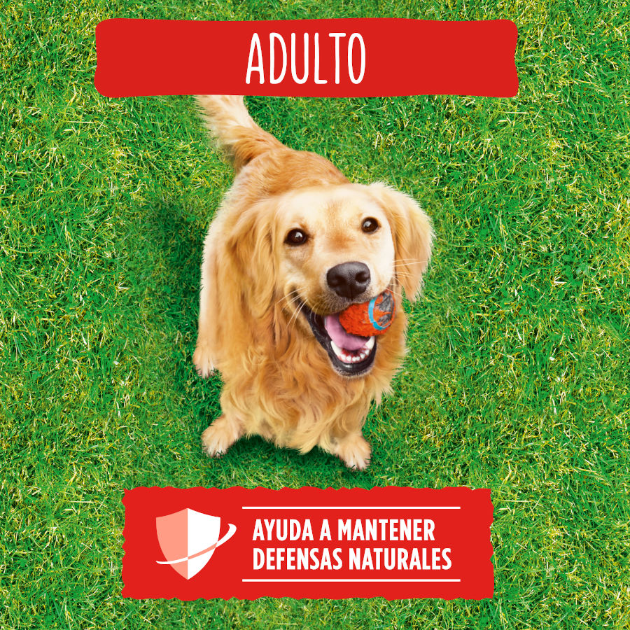 Ração para cães Friskies Adult com carne e vegetais
