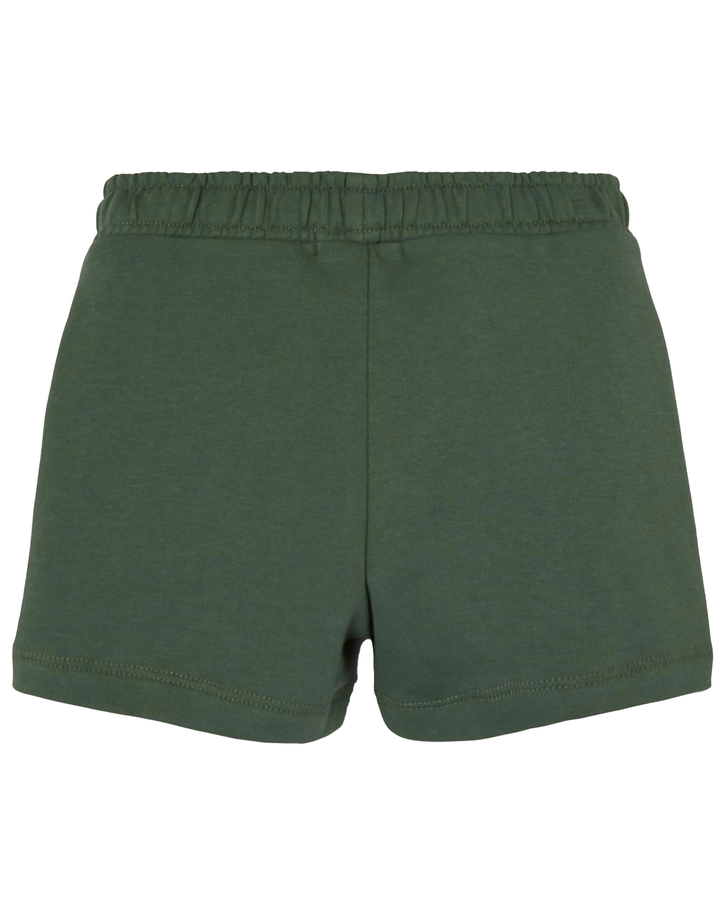 Sweatshorts NMMDIK in duck green