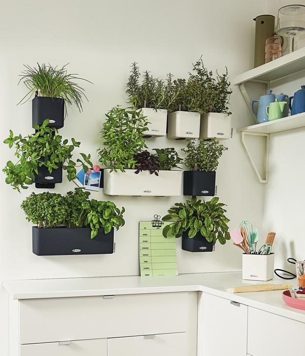 LECHUZA® CUBE Color Green Wall Home Kit, ca.