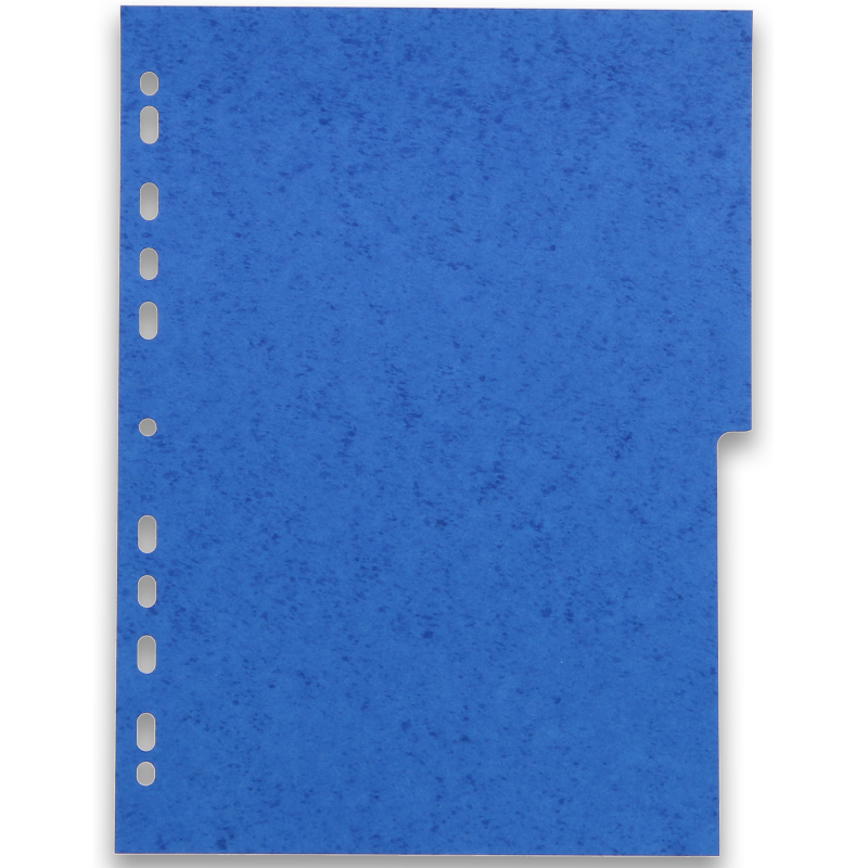 Intercalaires neutres A4 12 positions carte lustree 225g assorti