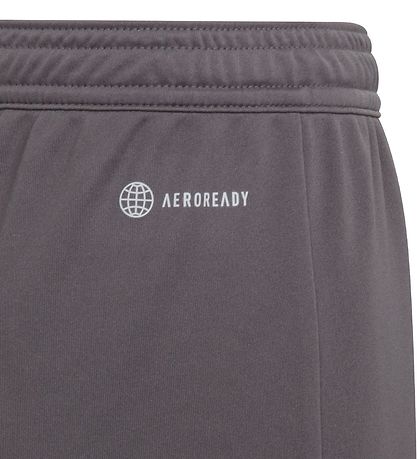 adidas Performance Shorts - Entrada 22 - Grau