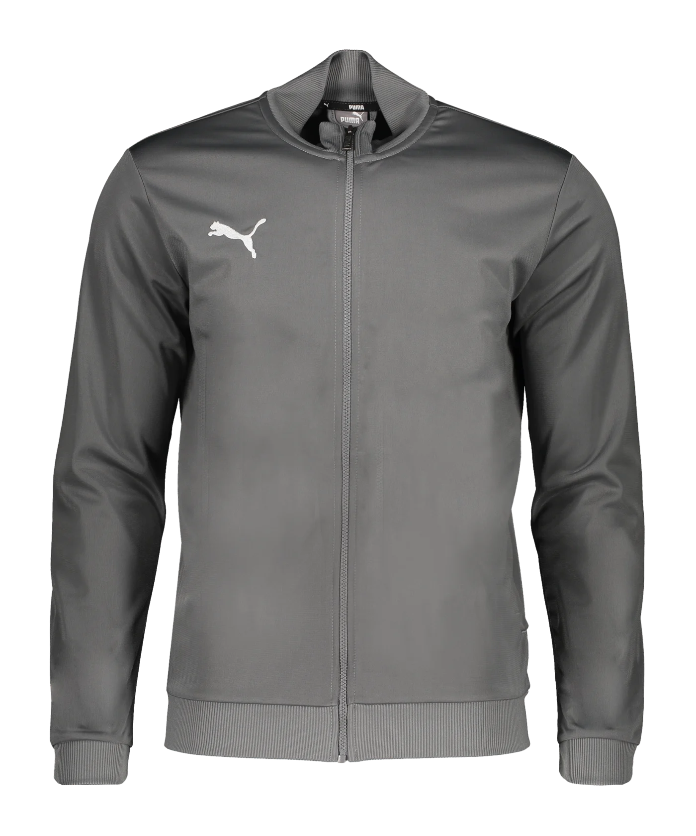 PUMA teamGOAL Casual Trainingsjacke Grau Weiss F13