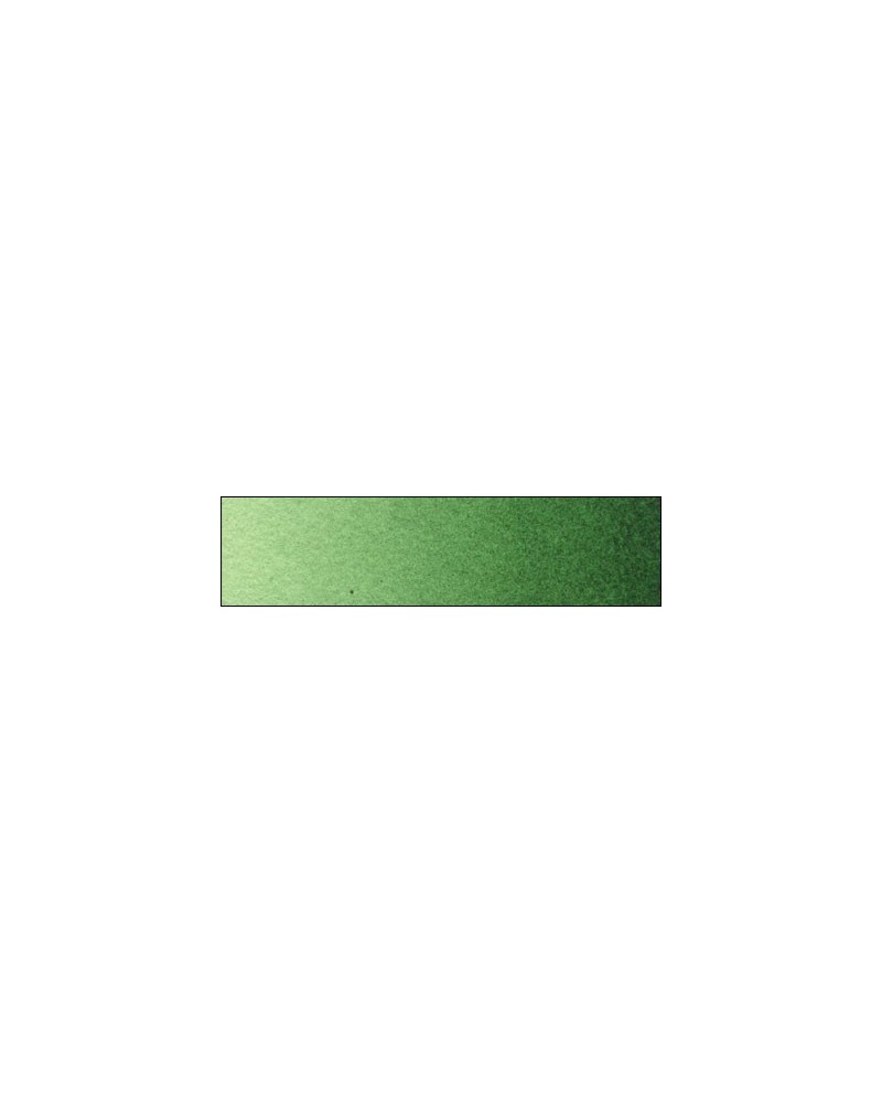 C-301 Laque vert hooker fonce extra