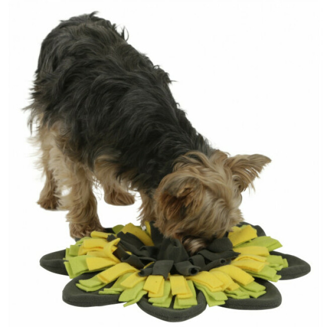 Tapis à renifler Sunflower Kerbl pour chien