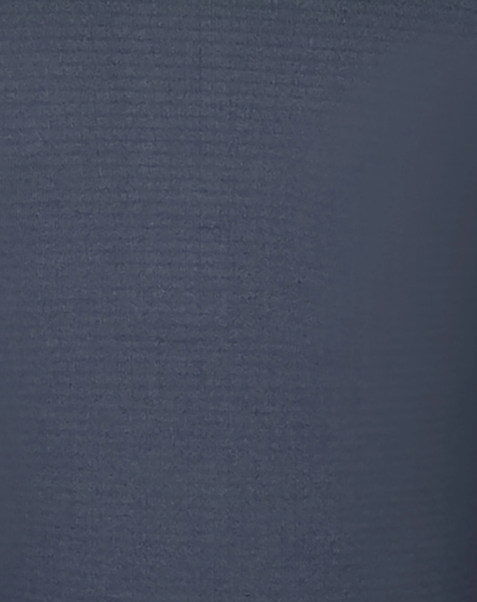FleecepulloKids RAULAND HALF ZIP in electric blue/navy