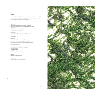 Journal Culinaire, No. 33 Oxyphotobacteria und Algen
