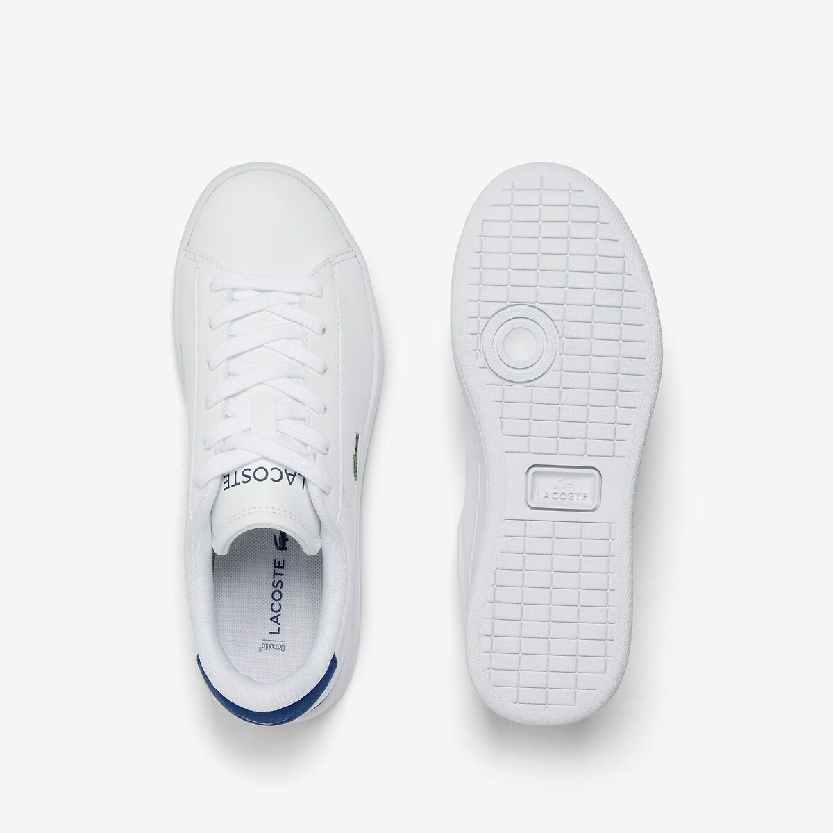 LACOSTE<br>Tênis baixo Carnaby Set