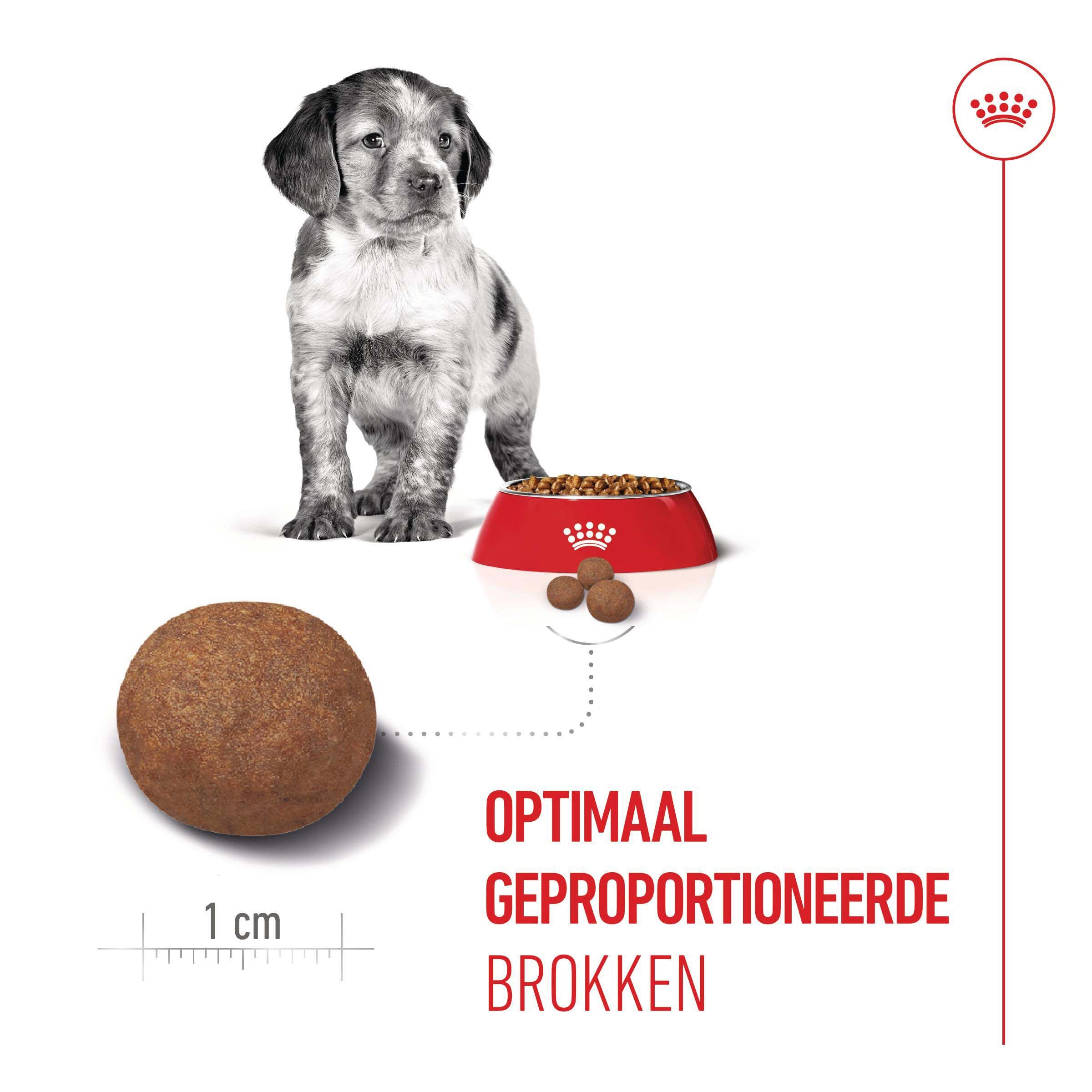 Royal Canin SHN Medium Puppy - Hondenvoer - 3 Kilogram - gevogelte