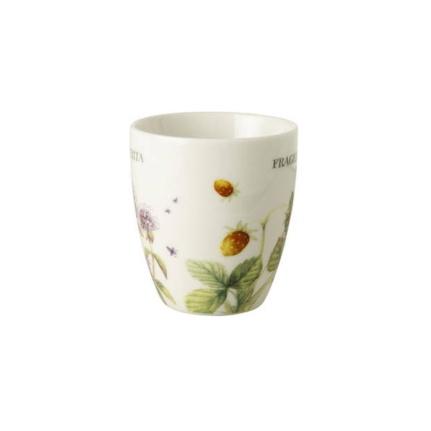 Marjolein Bastin Wildflowers Frageria minimok