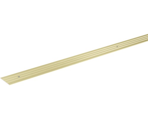 SKANDOR overgangsprofiel champagne geanodiseerd geperforeerd 2x29,5x2700 mm