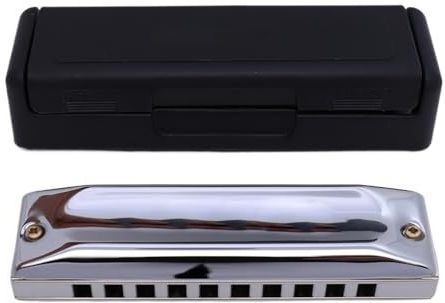 mondharmonica voor volwassenen 10 holes bluesharmonica professioneel bluesinstrument voor beginners(D)