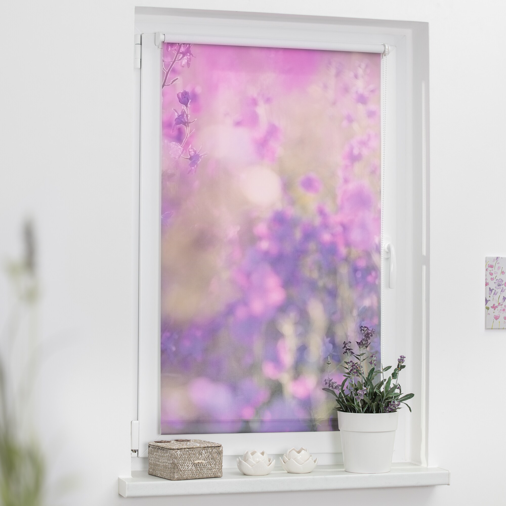 Lichtblick Rollo Klemmfix, ohne Bohren, Verdunkelung, Blumenwiese - Fuchsia Violett