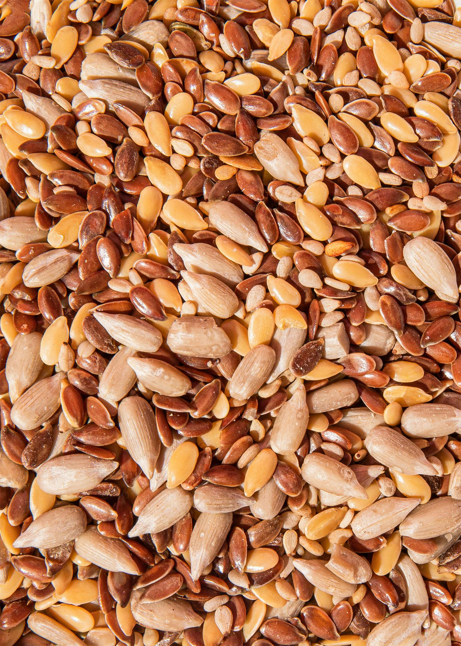 Bio Saatenmischung 2 kg