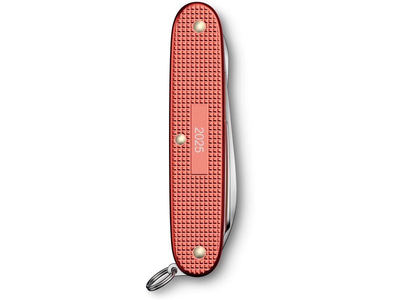 Victorinox Pioneer X, 93 mm, Alox Limited Edition 2025, Sto Taschenmesser