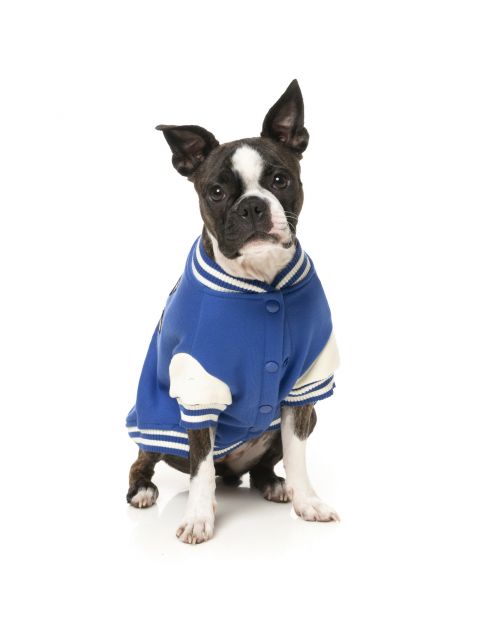 Fuzzyard The Letterman Jacket Blauw - Hondenkleding