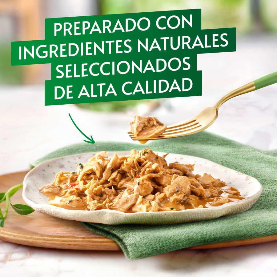 Bifes de carne em lata da Gourmet Nature's Creations para gatos