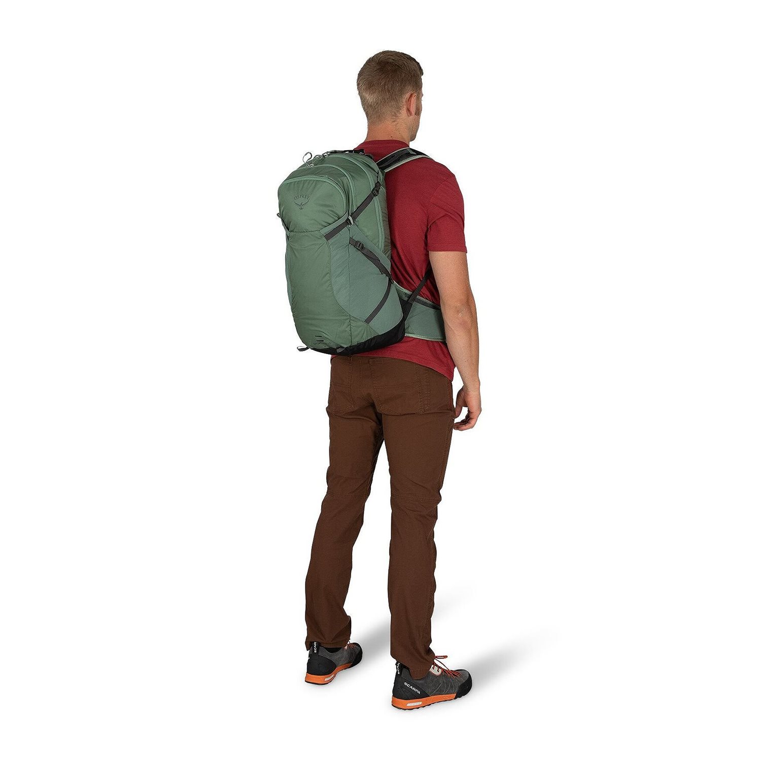 Osprey Sportlite 25 S/M pine leaf green
