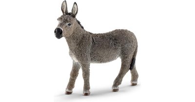 Donkey