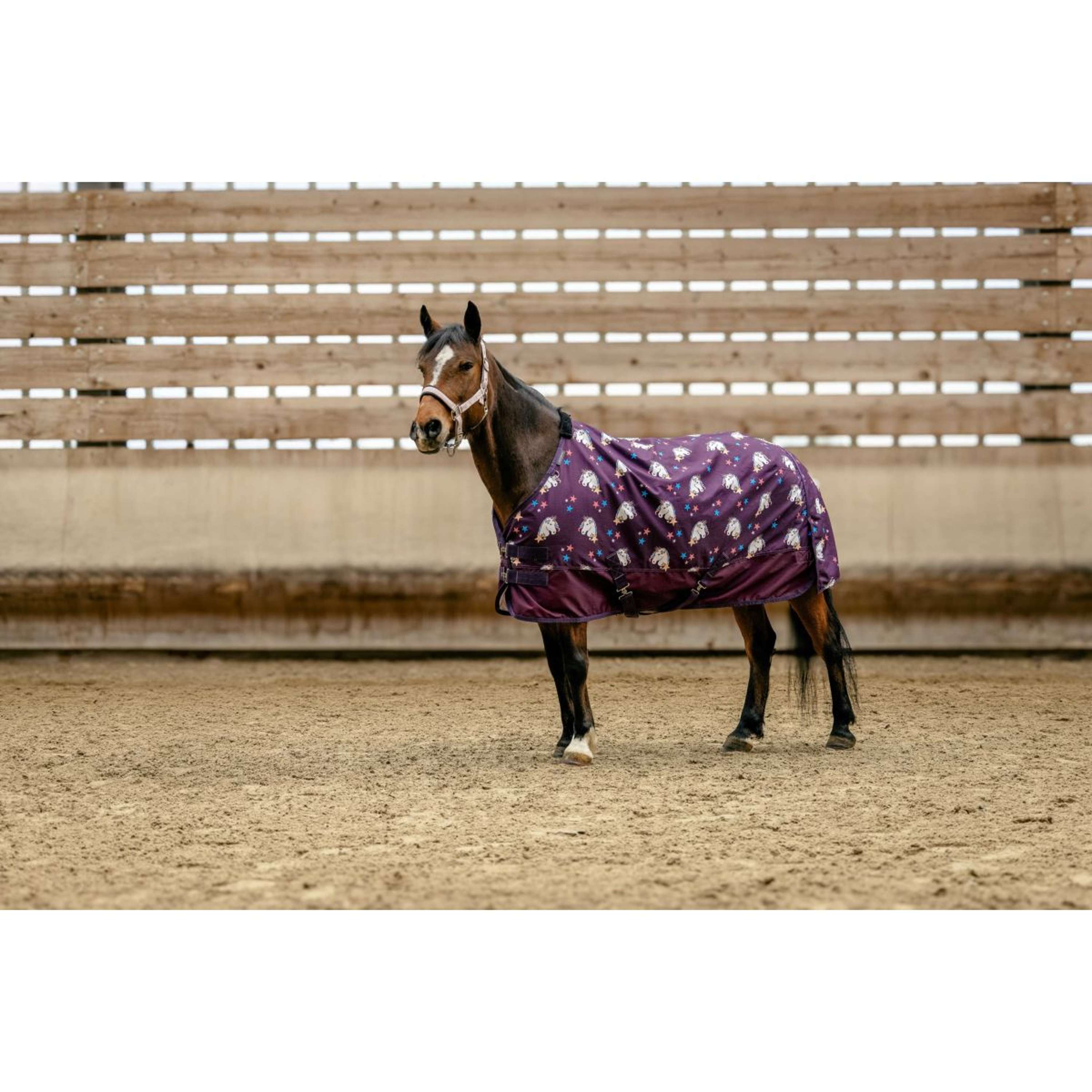 EQUITHÈME Turnout Deken Unicorn 600D 220g Plum