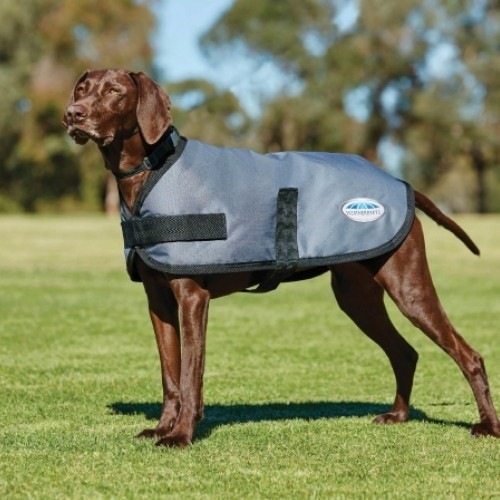 Casaco para cães Weatherbeeta Comfitec Parka