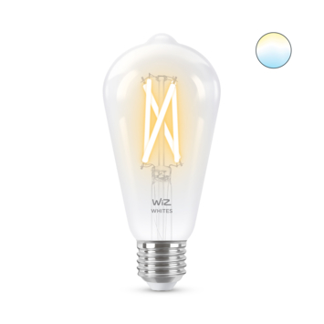 WiZ Connected LED edison E27 60W filament helder koel tot warmwit licht dimbaar