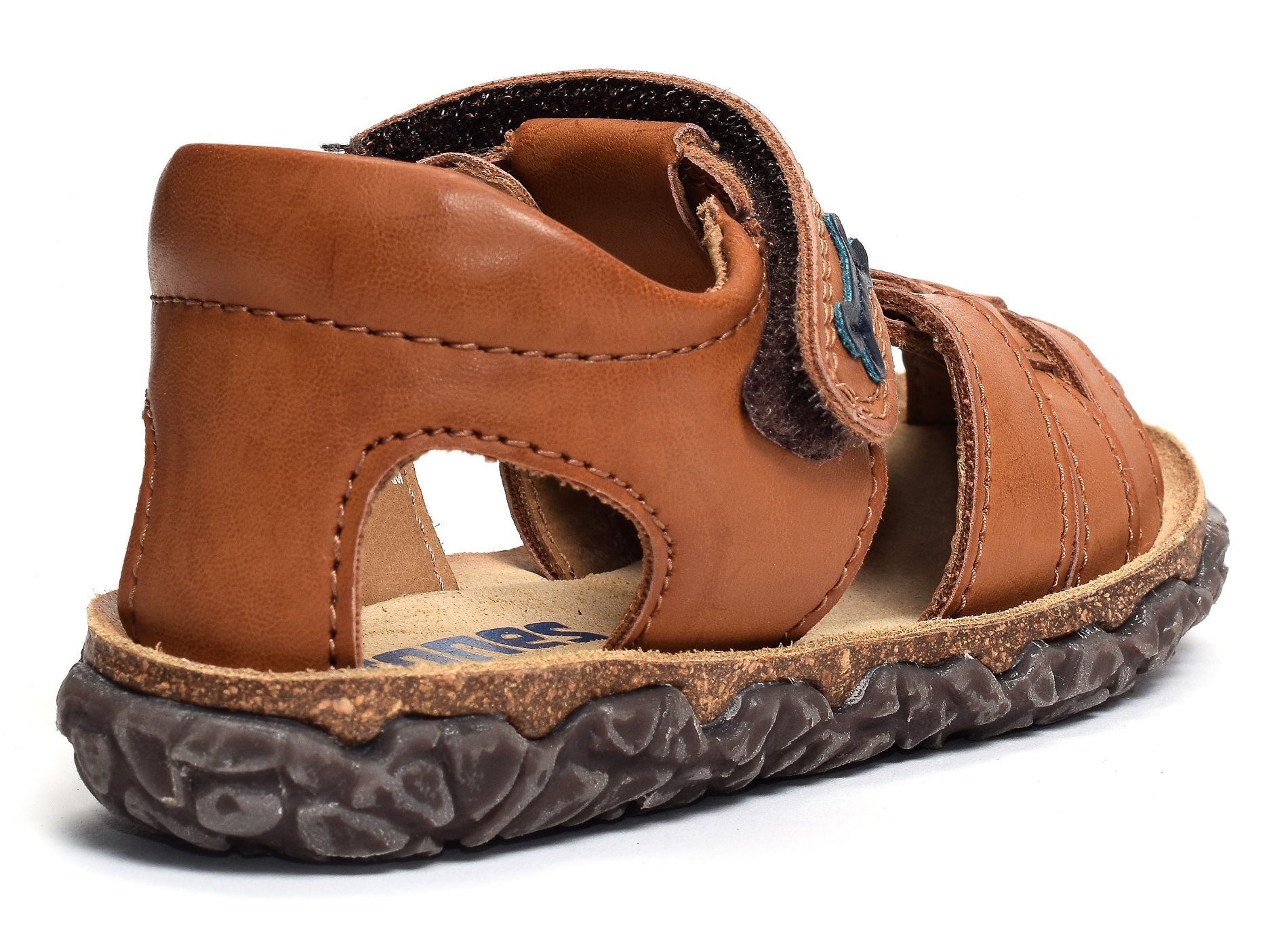 Raxi camel