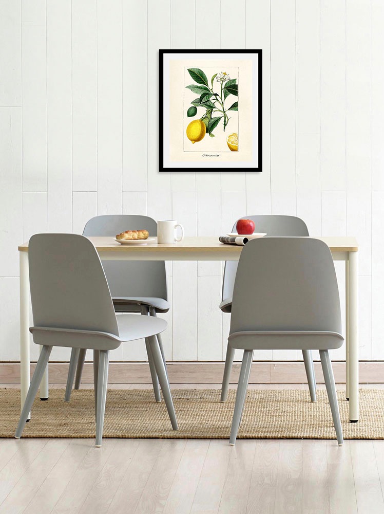 queence Bild »Citronnier« Essen | Italien | Kunst | Lebensmittel | Obst | Obst Bilder | Schriftzug | Spanien 1 Stk. tlg. gerahmt