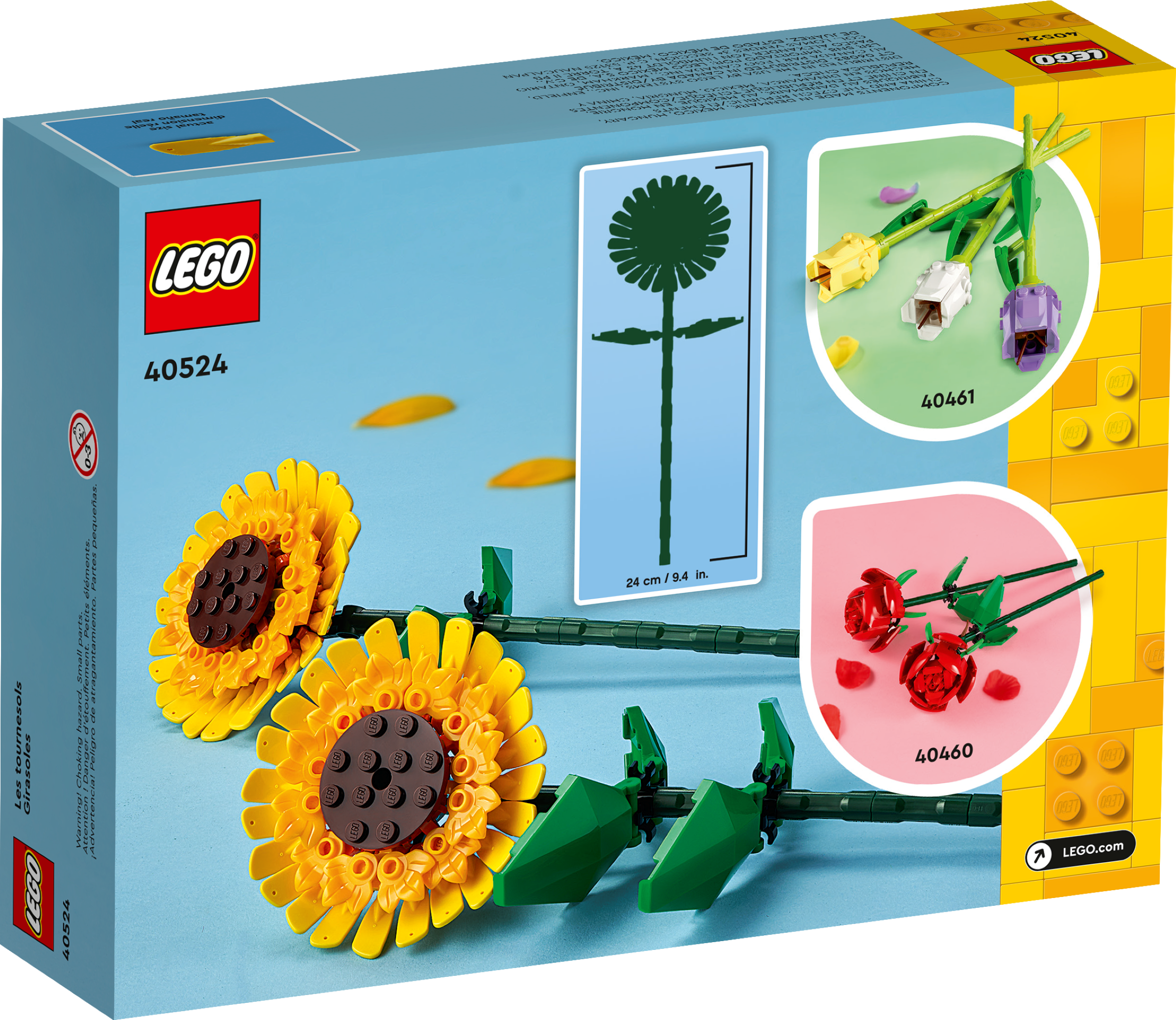 Girassóis 40524