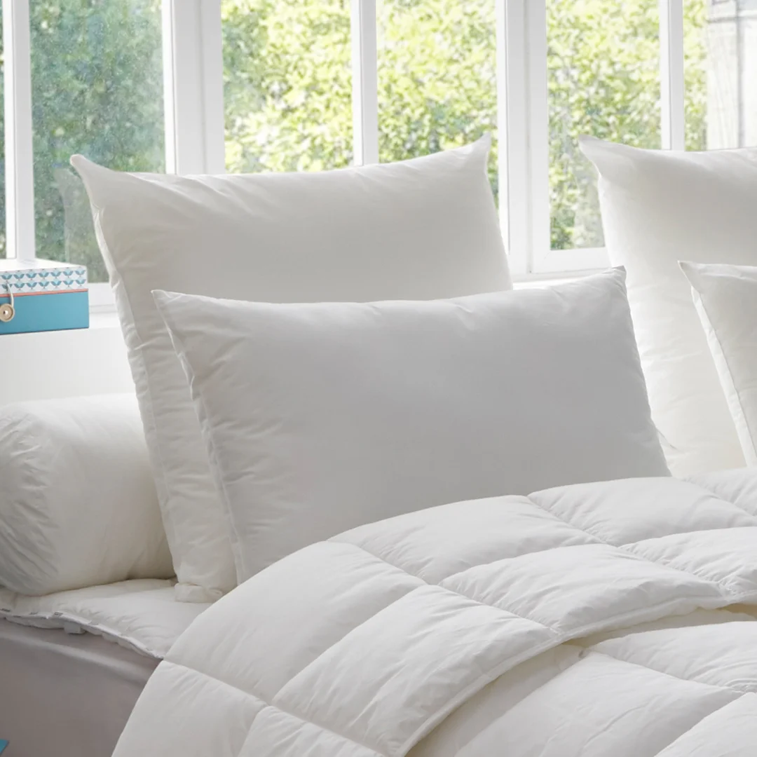 Oreiller Enveloppe Coton Bio - Bien-être FERME