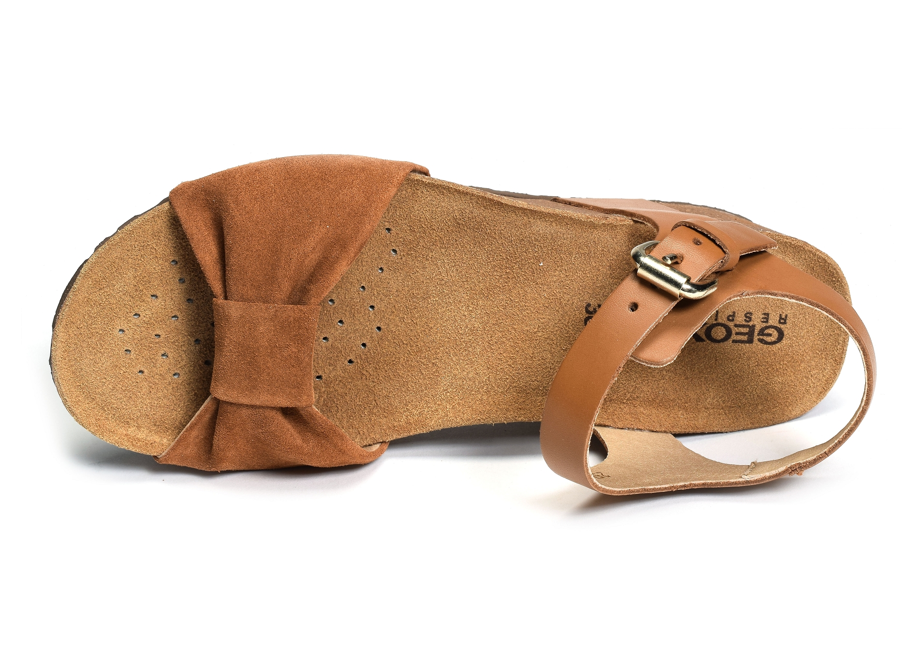 D diantha c camel