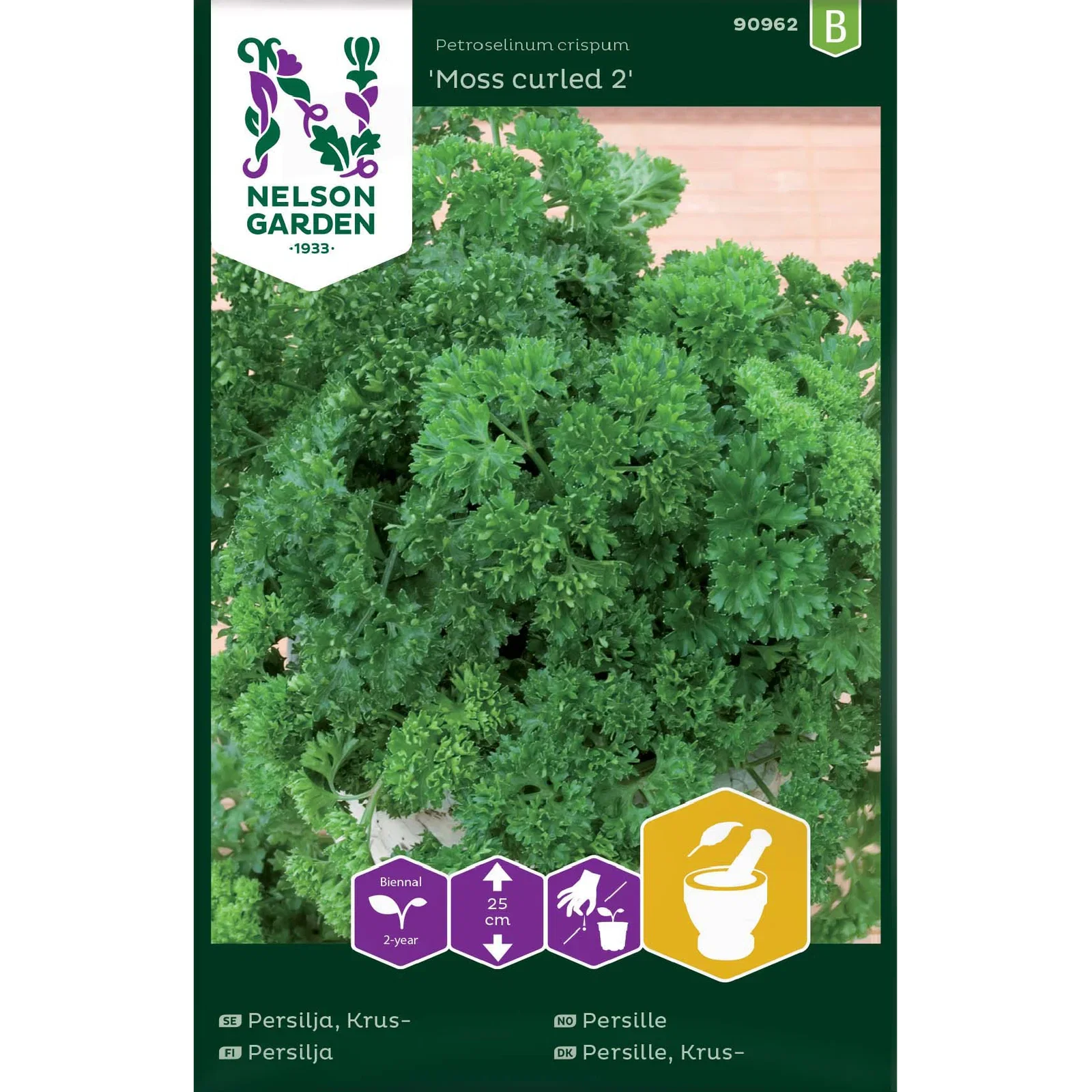 Petroselinum crispum 'Moss curled 2' Persille 'Moss curled 2'