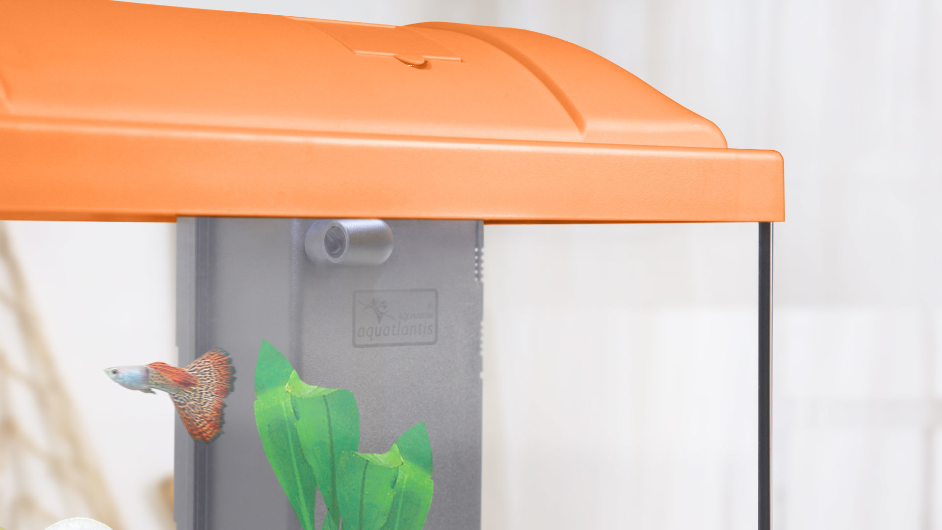 Aquatlantis Binnenfilter Systeem Mini BioBox Nr. 1 | Compacte filter