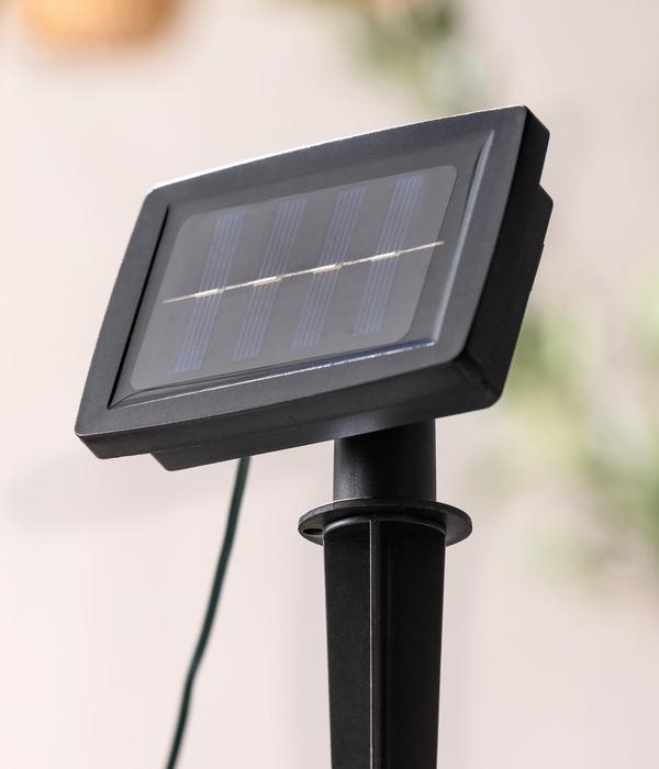 Dehner Solar-Lichterkette Mila