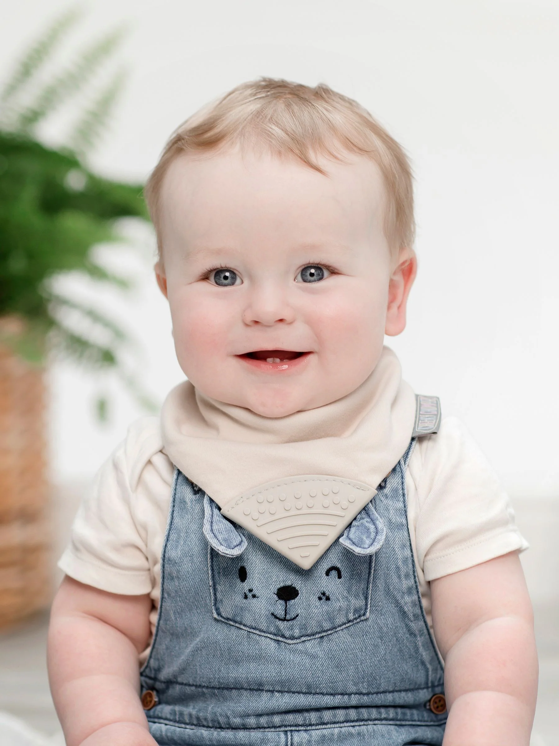 Dieren en wolken - Cheeky Chompers 3 babyslabbetjes van 100% katoen