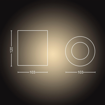 Philips Hue Pillar opbouwspot 1x5W zwart incl. switch en bluetooth