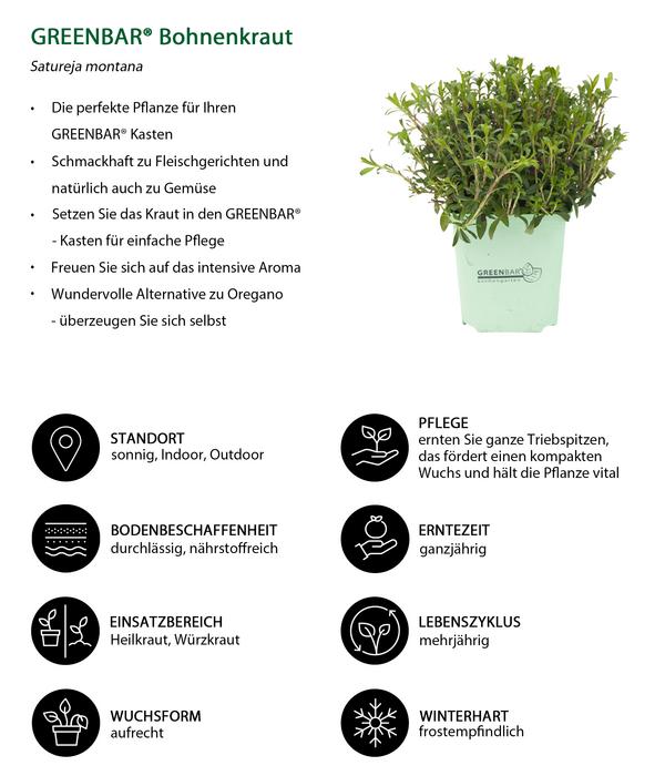 GREENBAR® Bohnenkraut