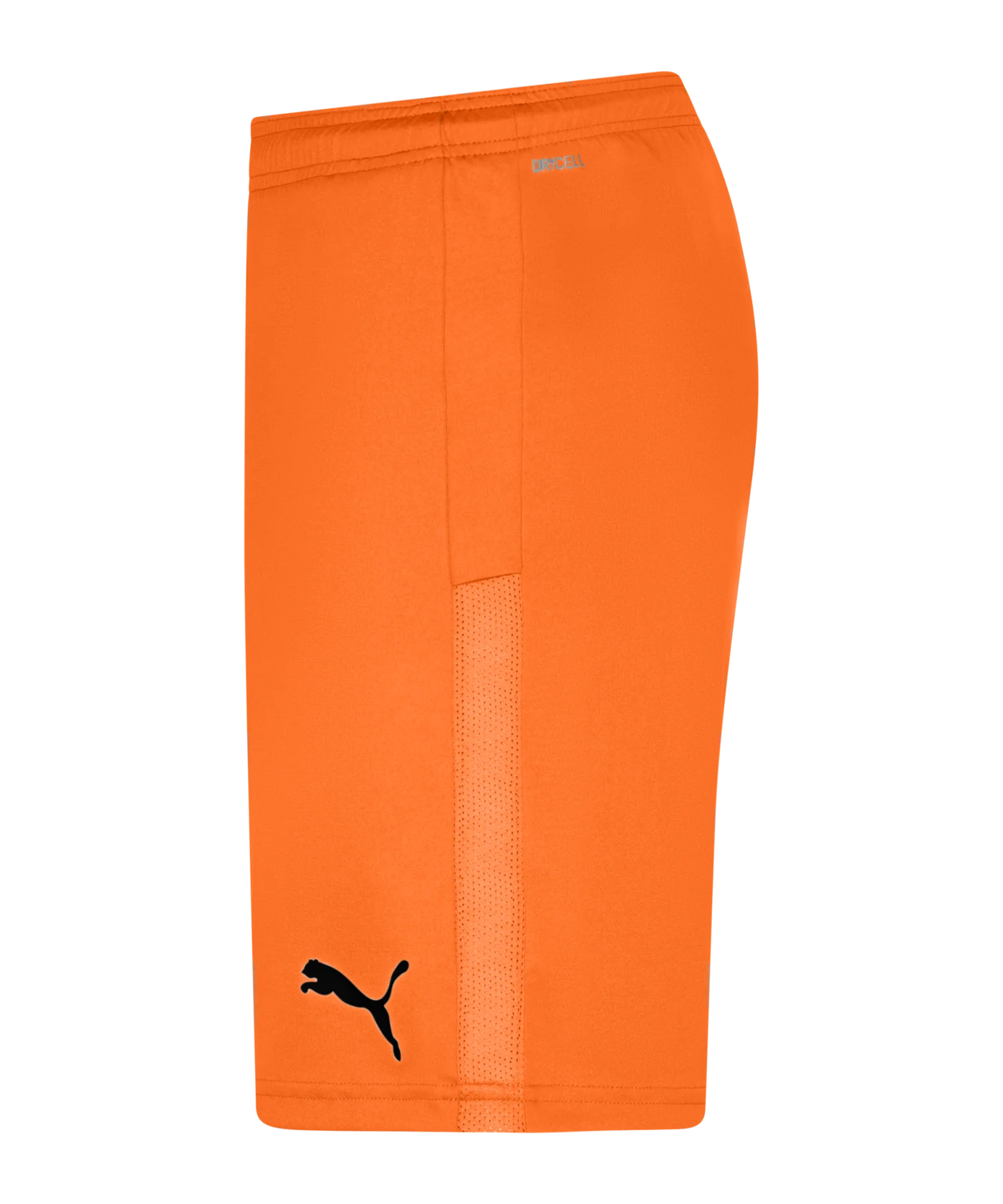 PUMA teamGOAL 23 Knit Short Orange F08