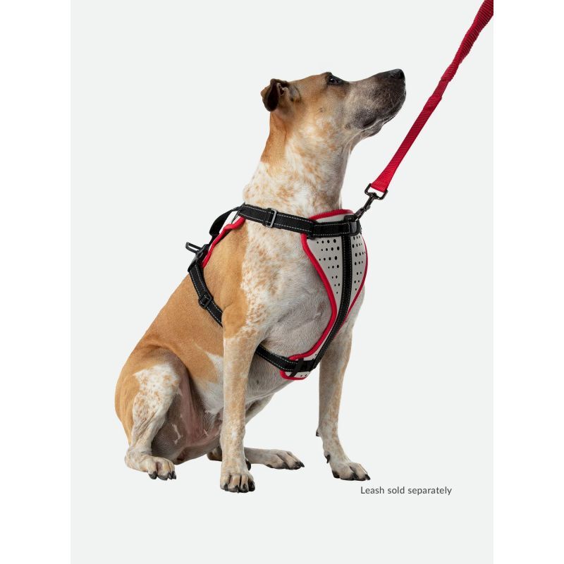 K9 Reflective Dog Harness - Harnais pour chien