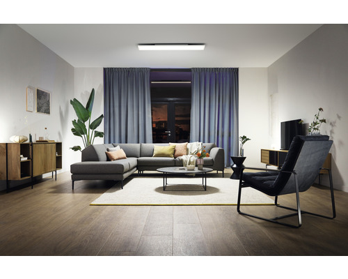 Philips Hue Paneel White Ambiance 39W 3550 lm 30x120 cm wit + dimmer - Compatibel met SMART HOME van Hornbach