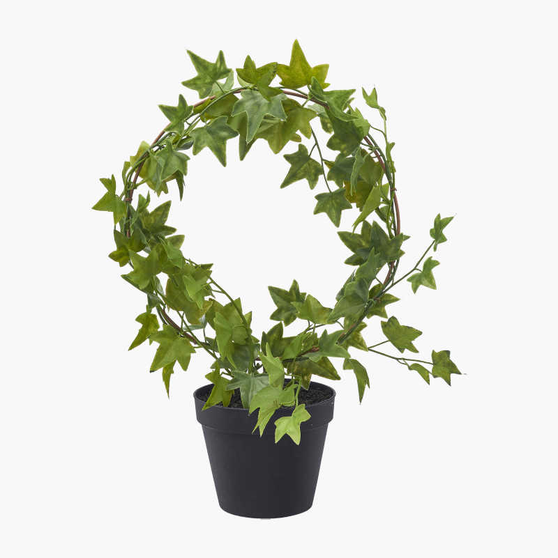 Kunstig plante, eføy